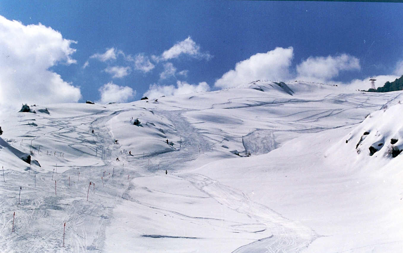 Skiing Himalaya Skiinglessons and Snowskiing in Auli, India
