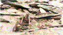 human skelts at roopkund lake,roopkund trekking tours,trekking to roopkund lake