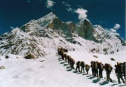 nandanvan bhagirithi peak,bhagrithi peak seen from tapovan-nandanvan trek,shivlinga tours