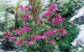 uttaranchal himalaya valley of flower trekking tours,trekking garhwal valley of flower tours,package tours to india valley of flower tours,valley of flower tours india