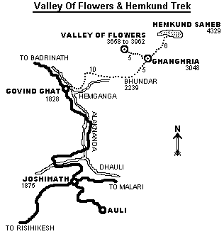 valley of flower tours,valley of flower trekking tours,trek to valley of flower national park